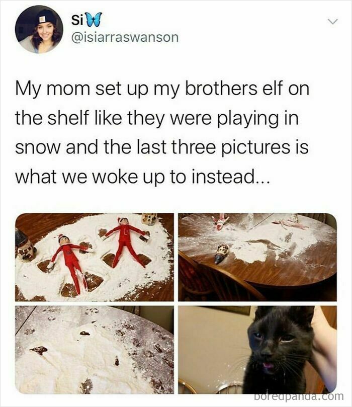 Funny parenting memes showing elves playing in flour and a cat with a guilty expression, capturing relatable family moments.