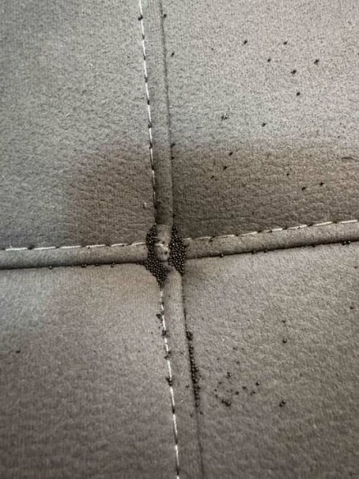 Close-up of fabric with a gap in stitching filled with small black beads showing an unexpected fail in sewing.