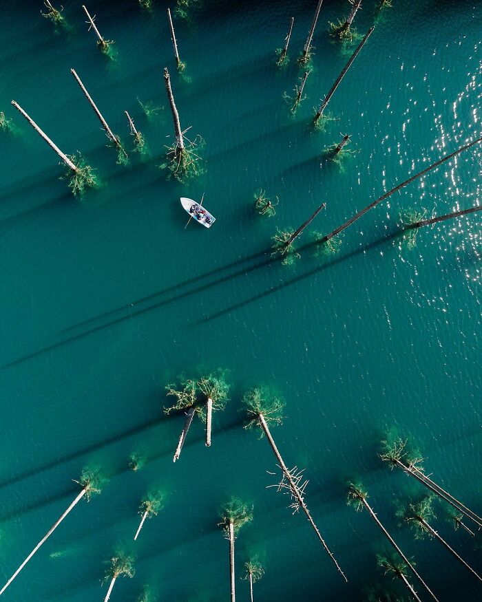 Aerial photo of a boat navigating through tall trees submerged in vibrant blue water, showcasing stunning aerial photography.