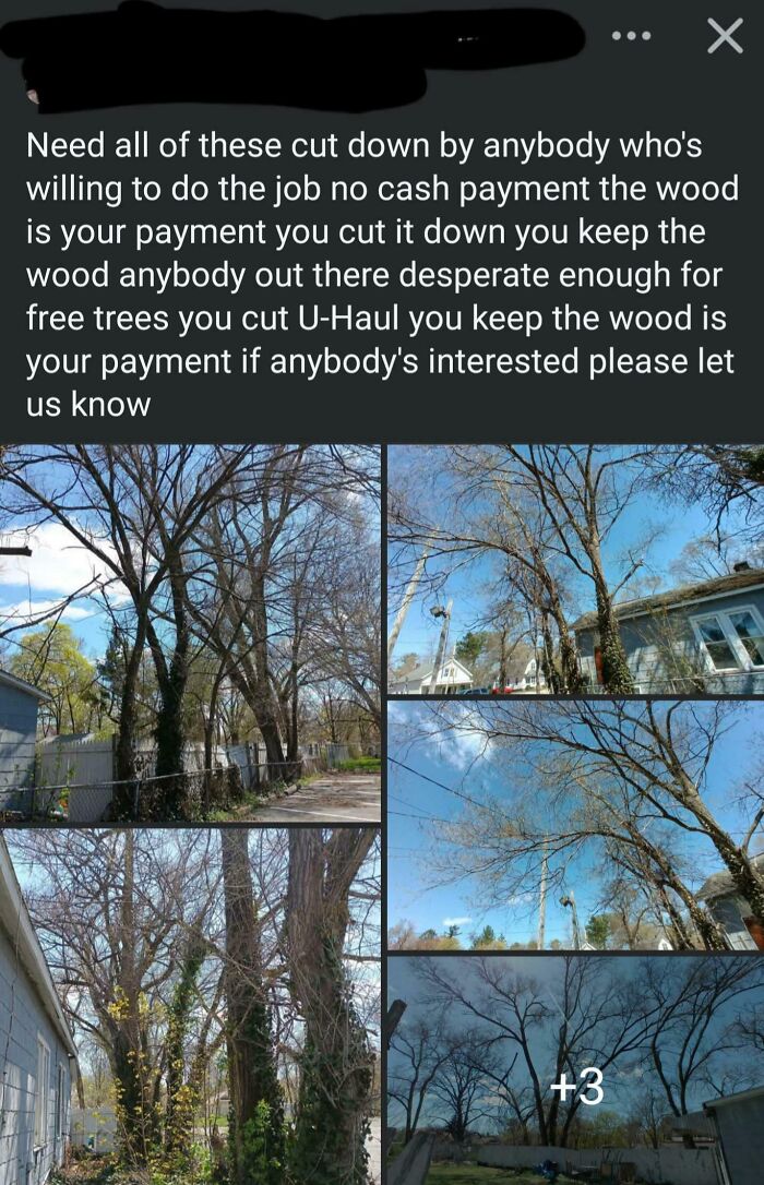Post showing multiple images of large trees with a message offering free tree cutting for people so entitled.