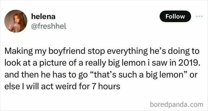 Tweet about making a boyfriend stop everything to admire a really big lemon, part of hilariously random posts to brighten your day.