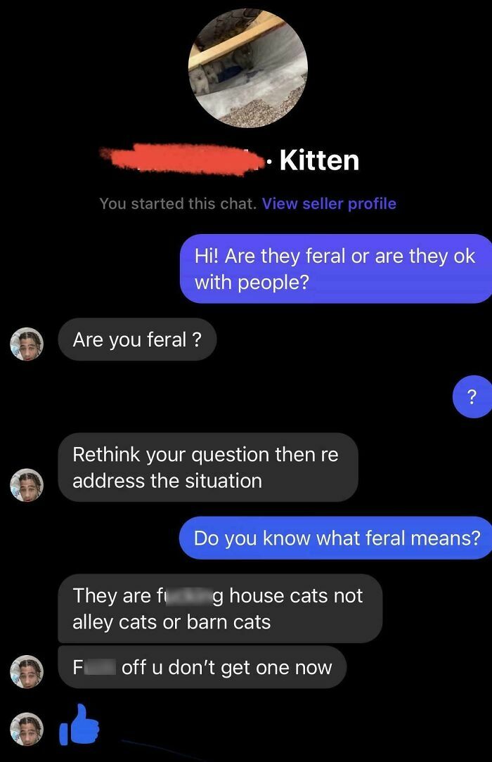 Screenshot of a chat conversation showing entitled behavior in a discussion about kittens and feral cats.