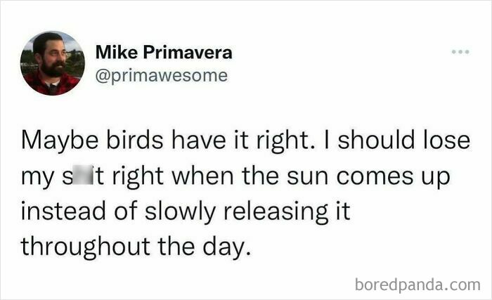 Screenshot of a humorous social media post reflecting on birds and daily stress as a funny random post to brighten your day.