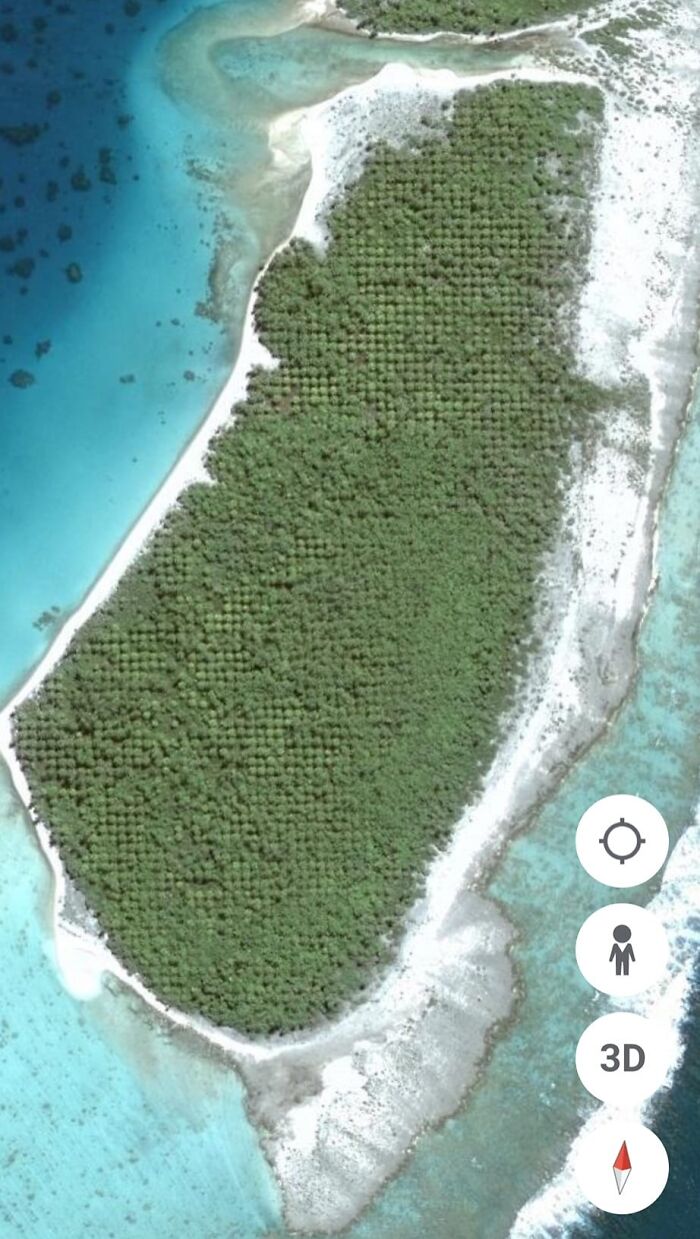 Aerial view of a small island with dense palm trees and surrounding turquoise waters on Google Earth.