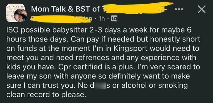 Post from a parent online seeking a babysitter, showing entitled demands and strict trust requirements.