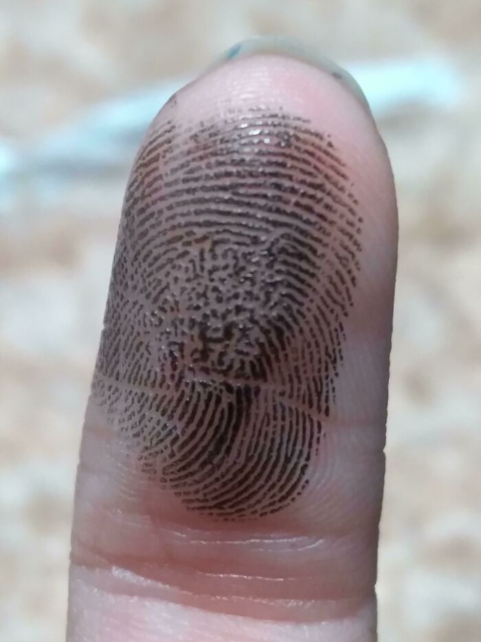 Close-up of a human finger showing detailed fingerprint patterns in a bizarre and fascinating human body photo.