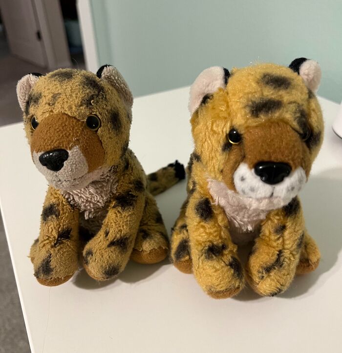 Two stuffed cheetah toys side by side showing before and after condition changes on a white surface.