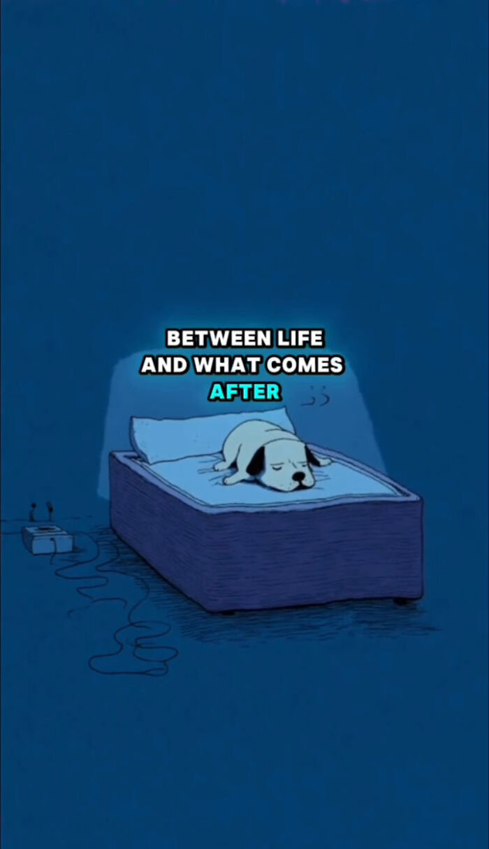 Illustration of a dog lying on a bed in a dark room, representing what dogs go through after their human passes.