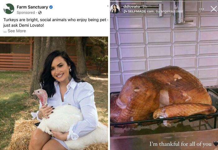 Image showing a person holding a live turkey next to a cooked turkey with a humorous caption, highlighting facepalm-worthy screenshots.