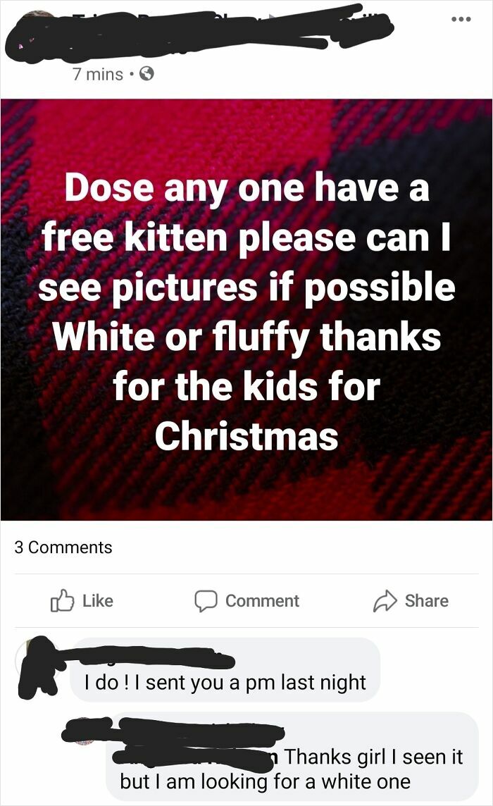 Social media post showing a parent asking for a free white or fluffy kitten for kids, reflecting entitled parents exposed online.