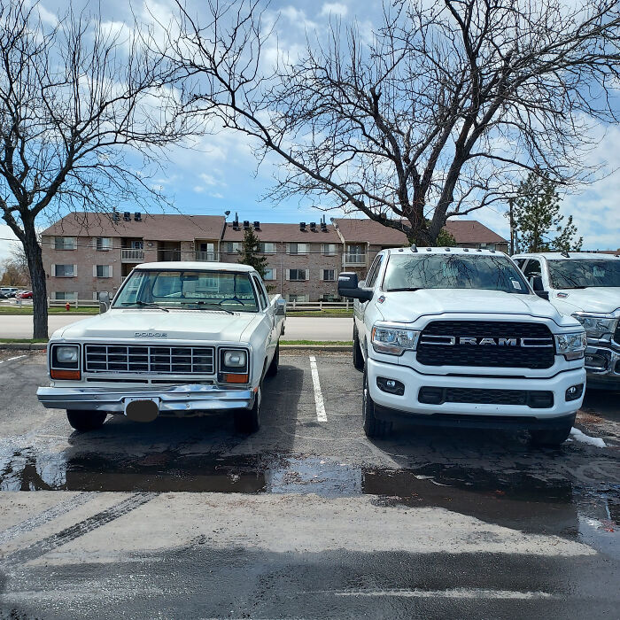 Two white Dodge trucks from different eras parked side by side, showing how things used to look compared to modern designs.