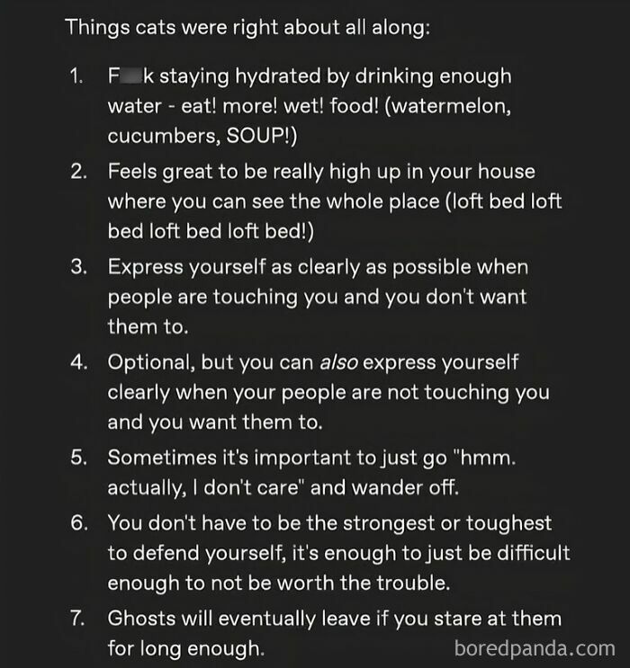 Humorous cat advice list about hydration, high places, expressing feelings, and dealing with ghosts in funny pics format.