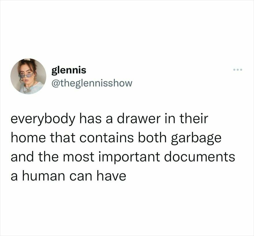 Funny meme text about a drawer holding both garbage and important documents, illustrating relatable inconvenience meltdown.