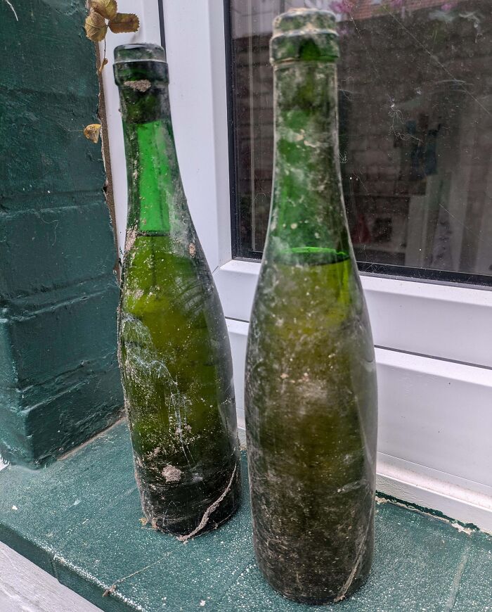 Old dusty green bottles covered in cobwebs found inside an old house, showing First Prize String Beans mystery objects.