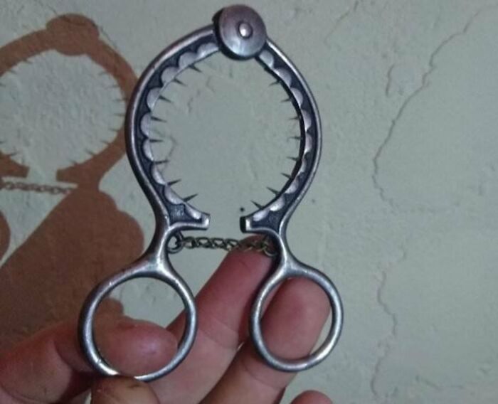 Old bizarre metal tool with serrated edges and finger holes found in an old house among First Prize String Beans curiosities.