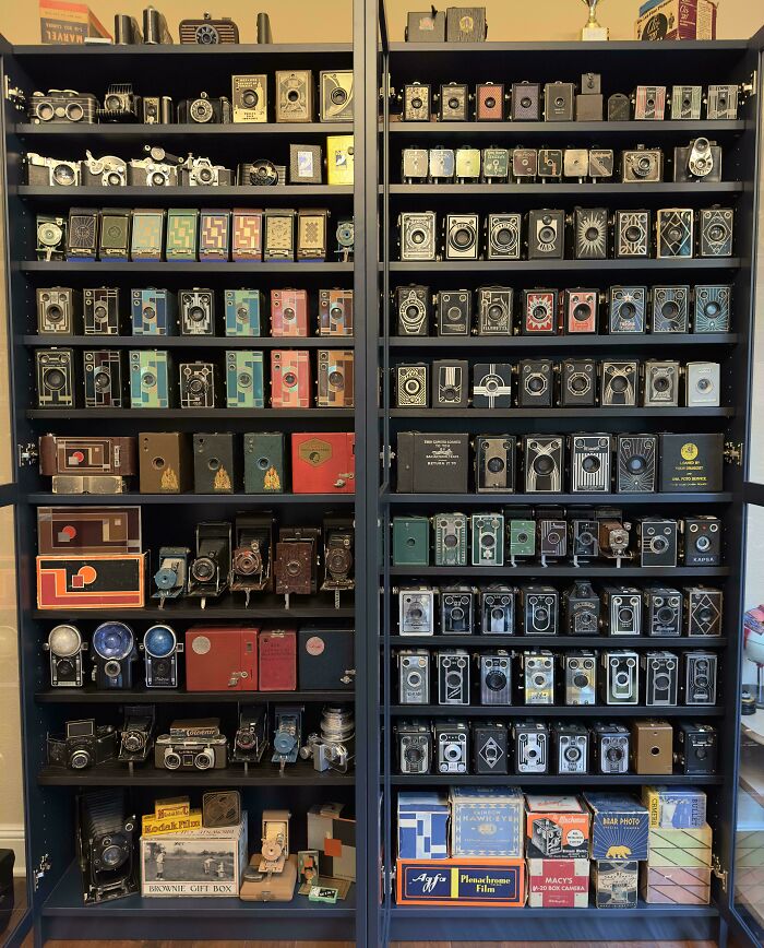 Collection of vintage cameras and camera accessories displayed on shelves in a home collection setting