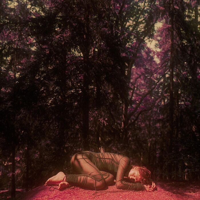 Person lying on the ground in a forest scene captured with vintage cameras for intimate, cinematic-looking shots.