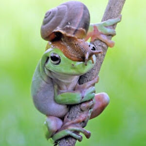 debbiejames_1 avatar