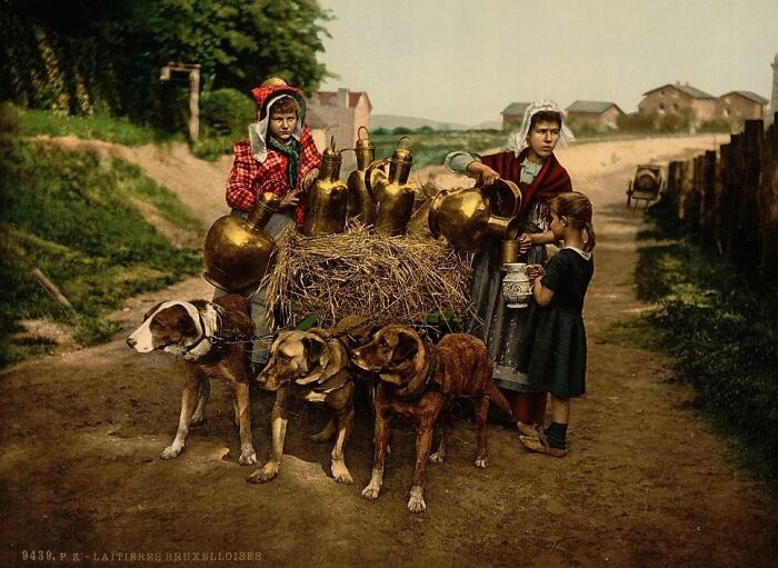 Three women with a cart pulled by dogs carrying brass containers in a vibrant cultural past colorized photo.