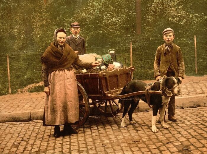 Colorized photo of three people with a dog pulling a cart, showcasing the vibrant cultural past on a cobblestone street.