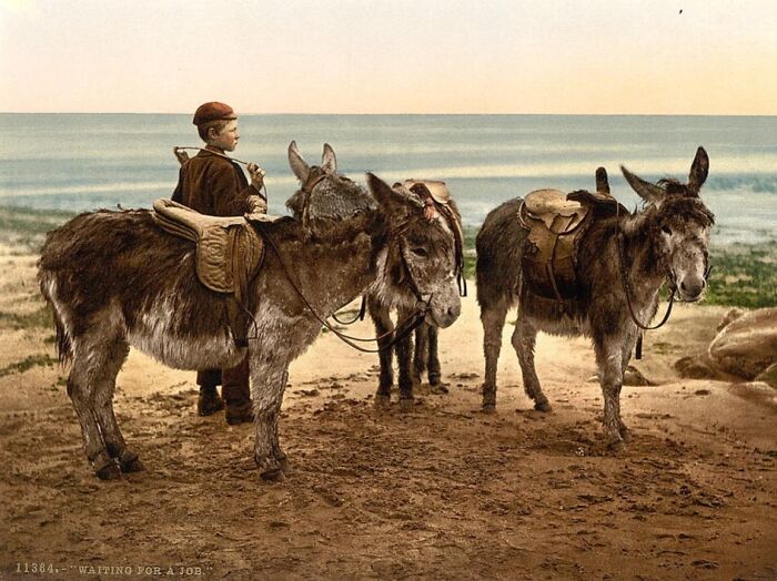 Young boy with three saddled donkeys on a beach, showcasing vibrant cultural past in colorized photo.