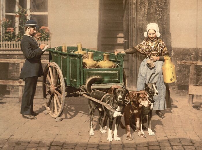 Colorized photo showing a historic scene with dogs pulling a cart and a woman holding a milk container, revealing cultural past.