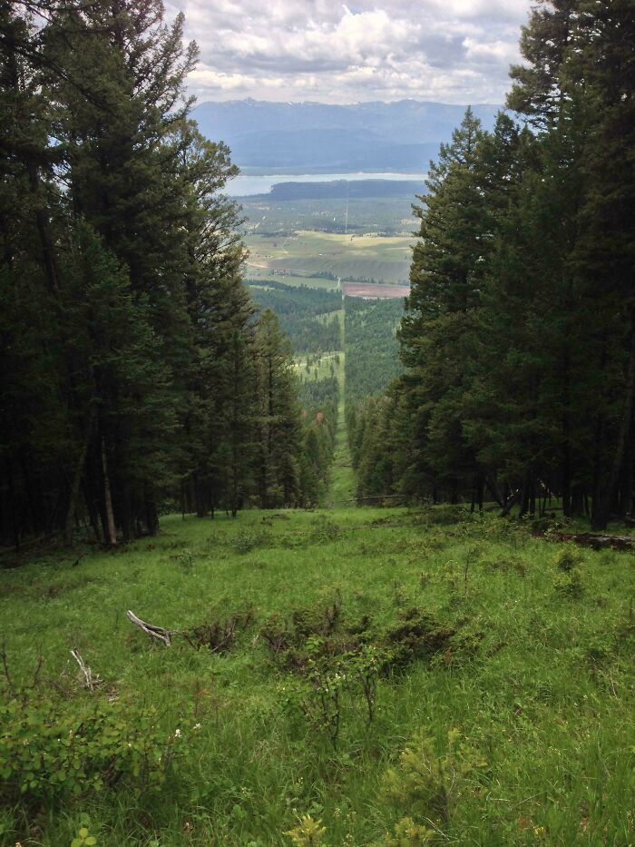 View through dense forest down a green hillside toward valley and distant mountains in fascinating pictures for curious minds.