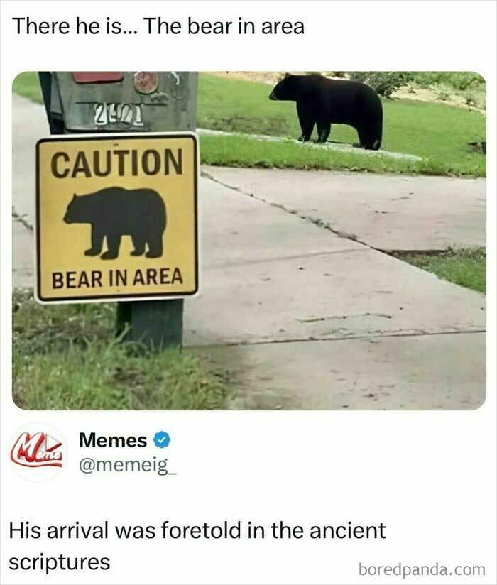Bear in area caution sign with a real bear nearby, funny posts showing everyone's just barely holding it together.