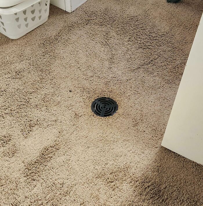 Carpeted floor with a drain, illustrating one of the dangerous designs that could be classified as death traps.
