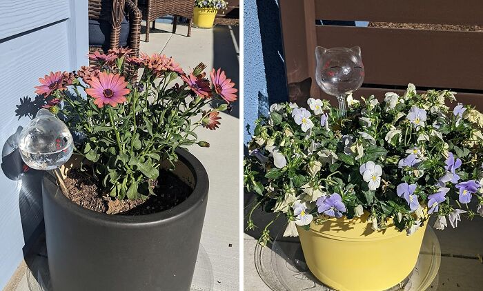 Two garden pots with flowers and clear cat-shaped garden sensors to help manage garden's tiny tantrums outdoors.