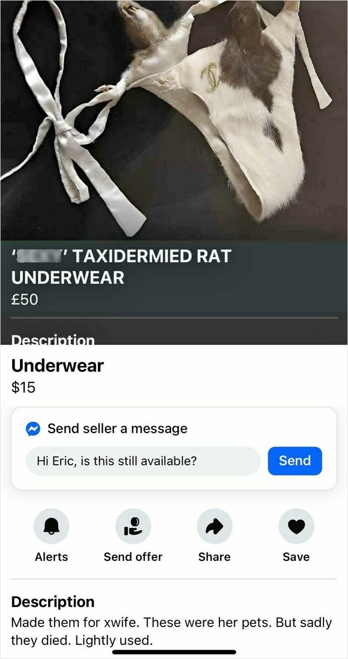 Taxidermied rat underwear for sale on Facebook Marketplace, one of the wildest things people found for sale online.