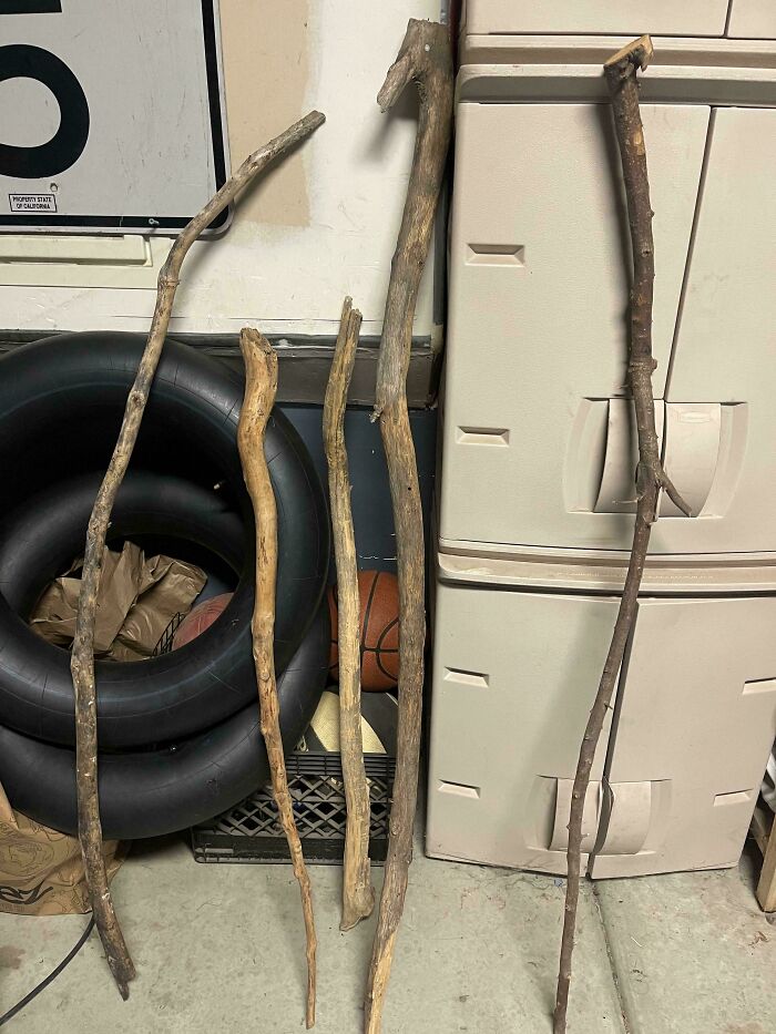 Collection of unusual handmade walking sticks displayed in a home garage among sports gear and storage bins.