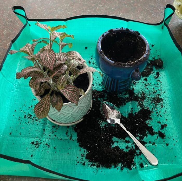 Green gardening mat containing a potted plant, spilled soil, a blue pot, and a silver spoon for easy cleanup and planting.