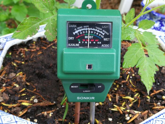 Soil moisture and pH meter in garden soil, one of the genius finds to silence your garden's tiny tantrums.