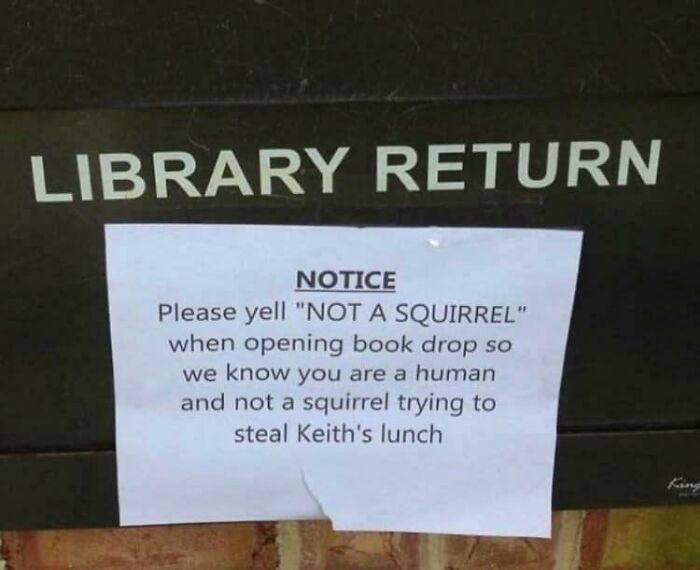 Funny library return sign asking people to yell not a squirrel to prove they're human in hilarious main character moment