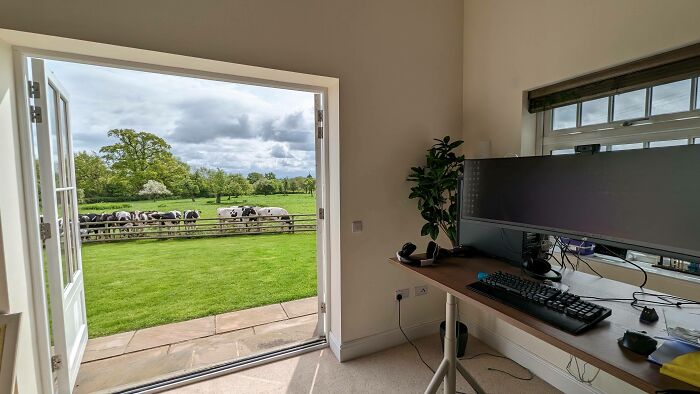 Home office setup with large monitor and keyboard facing an open door showing cows in a green pasture, work-from-home meme scene.