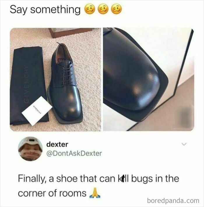 Funny random meme showing a square-toed shoe with a comment about k*****g bugs in room corners.