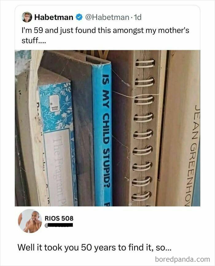 Funny random meme showing a bookshelf with a book titled "Is my child stupid?" and a humorous social media reply.