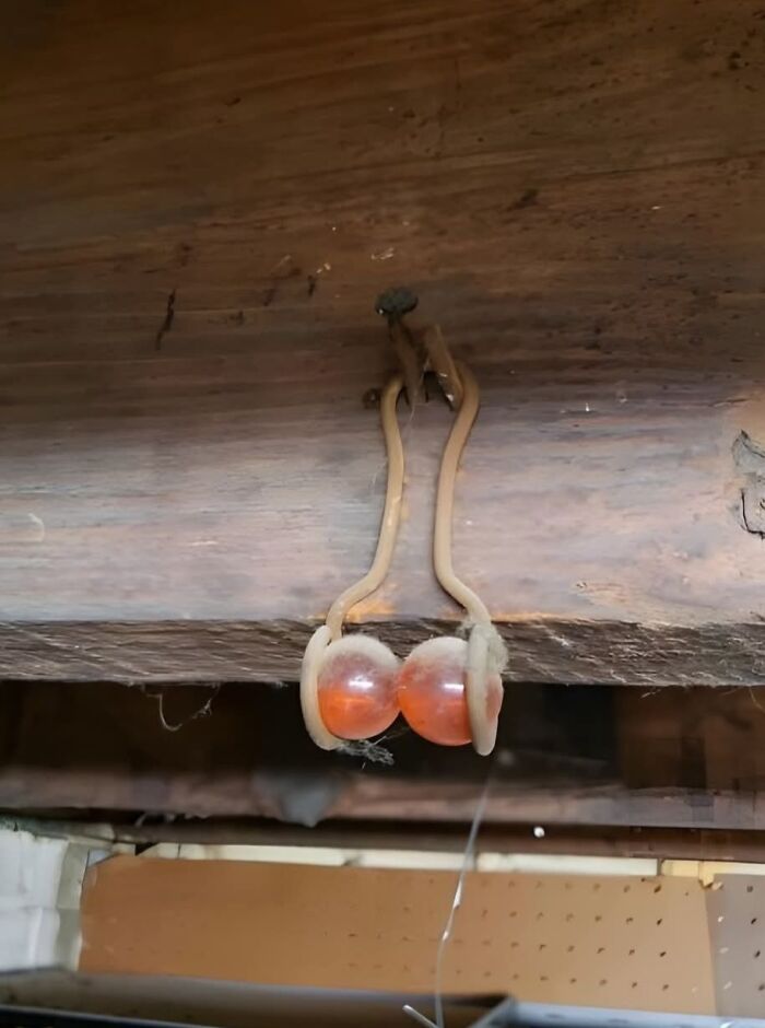 Pair of strange vintage glass objects hanging from an old wooden beam in a home with a forgotten past