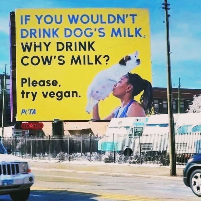 Billboard with a vegan message questioning drinking cows milk featuring a woman holding a small dog and hot takes displayed publicly.
