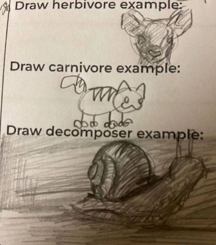 Child's pencil drawings showing herbivore, carnivore, and decomposer examples with a snail sketch, chaotic memes concept.