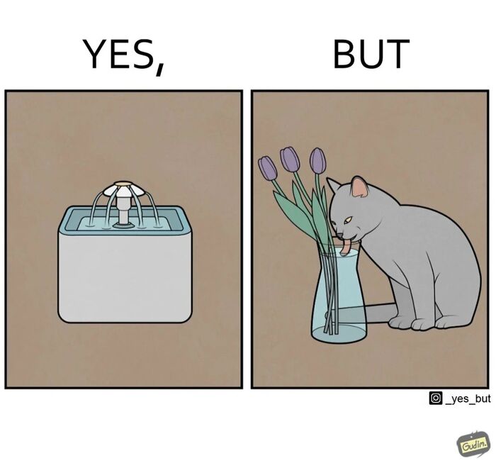 Comic panels showing a water fountain labeled yes, and a cat drinking water from a vase under but, illustrating societal contradictions.