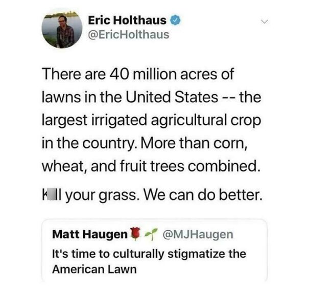 Tweet discussing the environmental impact of lawns in the U.S. and critiquing capitalism's role in cultural norms.