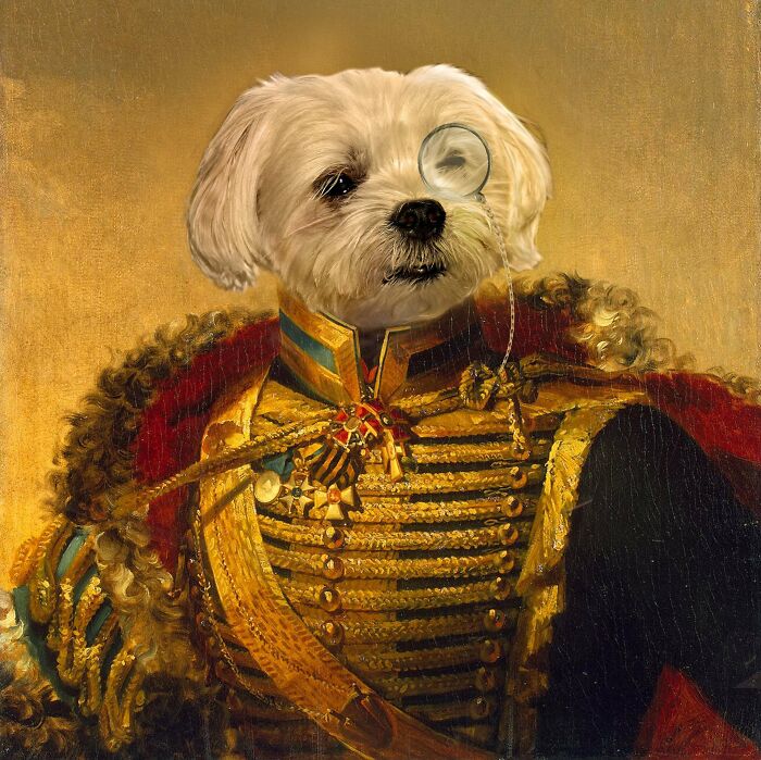 A small dog with a monocle photoshopped onto a regal military uniform, showcasing hilarious Photoshop skills.