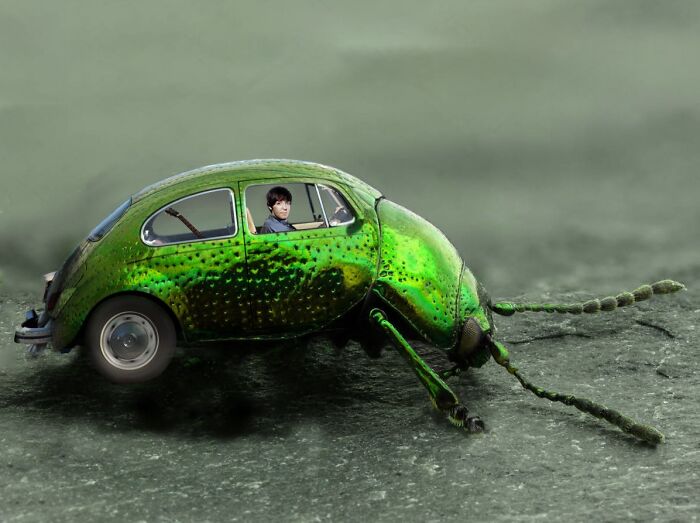 A creative photoshop image of a green beetle with a vintage car body and a person inside, showcasing photoshop skills.