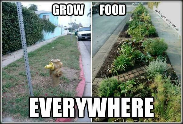 Side-by-side urban scenes showing a barren strip with a fire hydrant and a lush garden bed promoting growing food everywhere against capitalism.