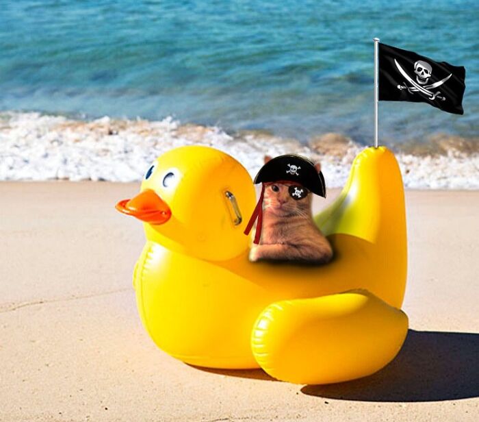 Cat dressed as a pirate on a yellow duck float at the beach showcasing hilarious Photoshop skills.