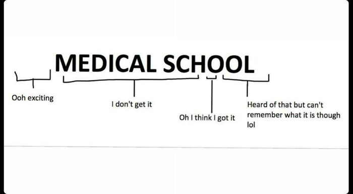 Diagram illustrating stages of medical school learning curve from excitement to confusion and partial understanding in future doctors.