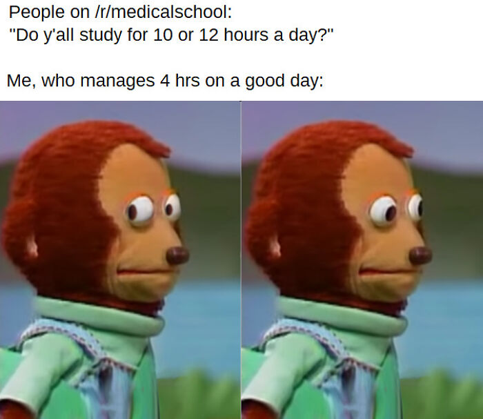 Medical school meme showing a nervous puppet with wide eyes, reflecting future doctors' study struggles and feelings.