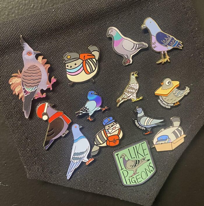 Collection of colorful pigeon pins displayed on black fabric, showcasing unusual and interesting home collectibles.